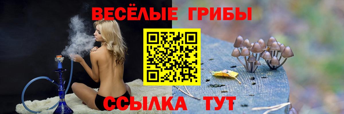 Кандалакша  Галлюциногенные грибы Cubensis  Вход с VPN  Галлюциногенные грибы MAGIC MUSHROOMS 